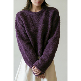 复古软糯颗粒圈圈绒圆领毛衣茄紫色女秋冬内搭慵懒针织高级感上衣