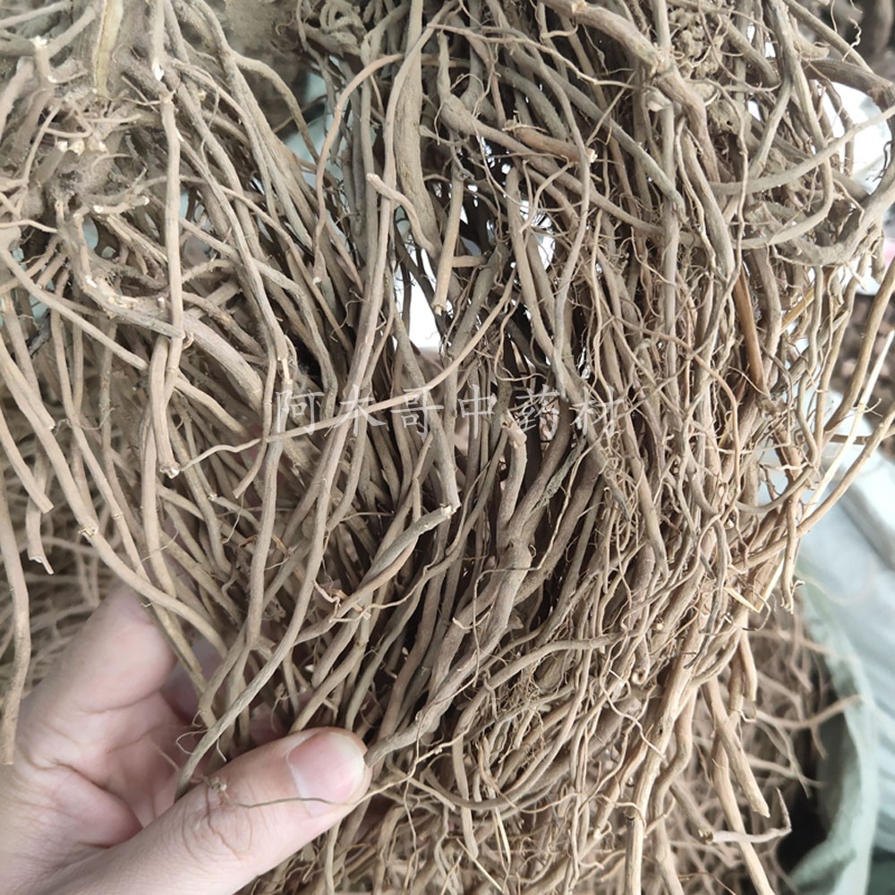 野生土牛七500g包邮土牛膝根中药材全根土牛膝 六月雪根 倒扣草根