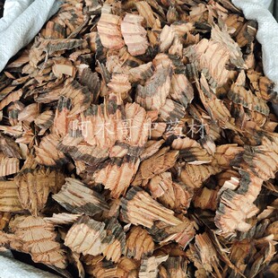 扁藤 扁担藤一斤包邮 大芦藤 铁带藤 过江扁龙 扁骨风 腰带藤