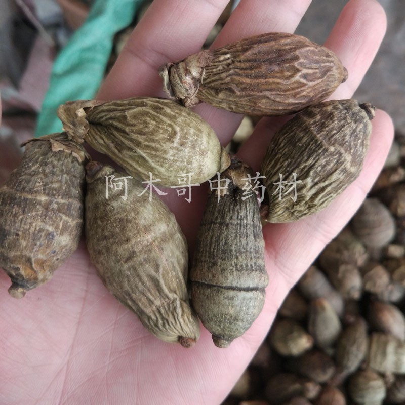 槟榔 槟榔果 大腹子香料调料卤料大全 川菜火锅 500克包邮 一斤