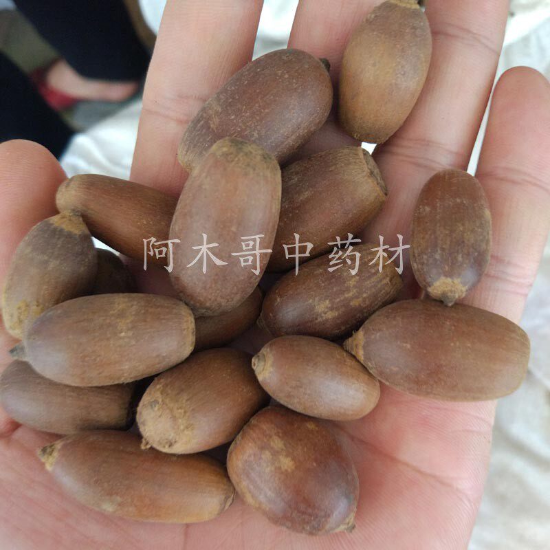 猪仔粒 500克包邮 干货 中药材 猪仔笠 猪仔粒 岗菊大力牛鸡头薯