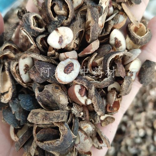 切片野生葵扇子 500克包邮 葵扇籽 葵树籽 葵树子片 蒲扇子蒲葵子