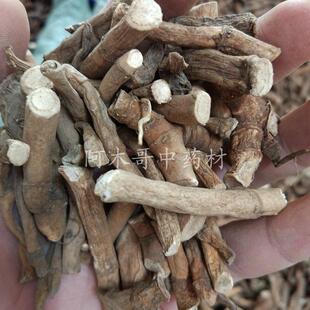 三白草根中药材 三白草天性草根 百节藕 白花莲 塘边藕 500克包邮