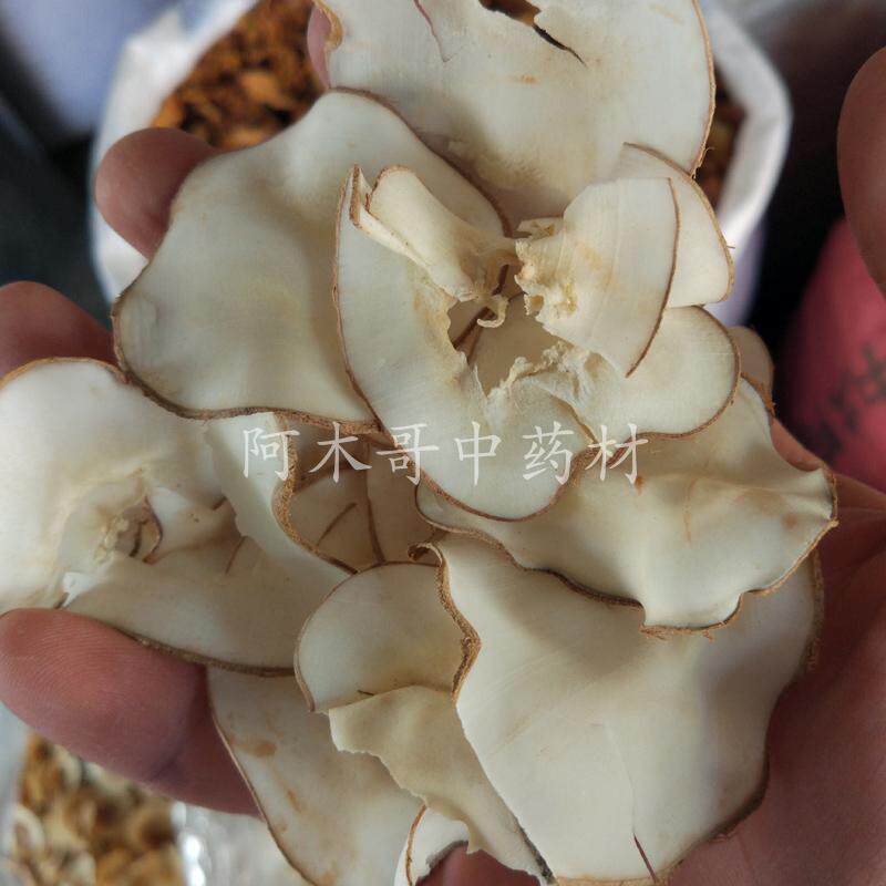 海底椰 500g包邮 新干货海底椰片  海底椰 煲汤广东炖汤料 原色