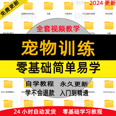 狗狗宠物训练驯狗日常护理美容定点排便习惯养成训犬视频教程