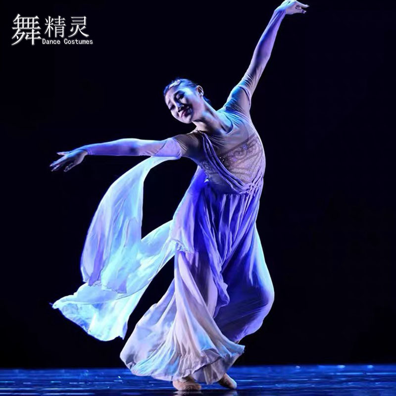 如梦令舞蹈服古典舞艺考大摆裙女