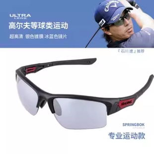 SWANS狮王视 高尔夫太阳镜 球类运动休闲墨镜 高尔夫眼镜日本进口