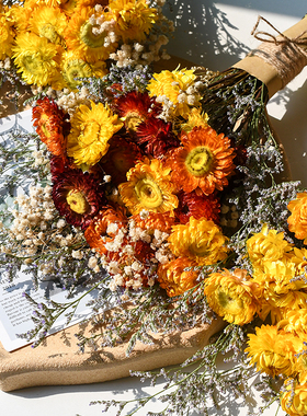 小雏菊向日葵干花花束ins太阳花