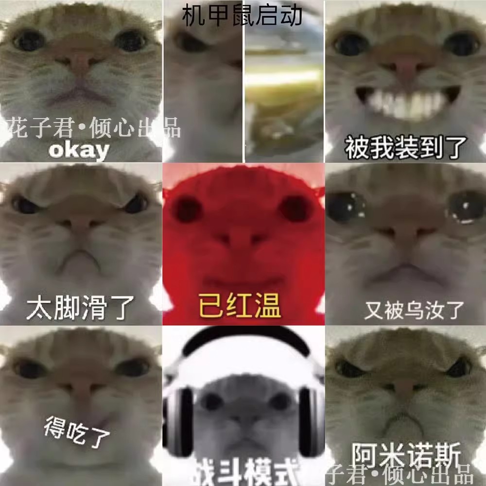 62贴可爱猫猫表情包贴纸