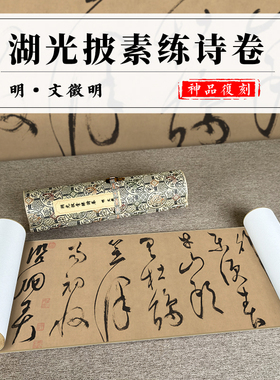 湖光披素练诗卷草书字帖收藏临摹