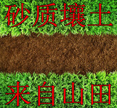 山地砂质壤土养花种菜种植营养土肥料河沙腐殖土风化砂叶岩土 包邮