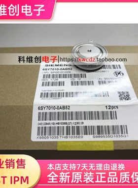 6SY7010-0AB52 电源模块 6SY7010-0AB51 全新