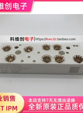 SKIIP83ANB15T1 SKIIP82ANB15T1 SKIIP82ANB15T10 全新原装 正品