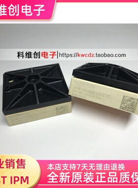 正品原装 SKIIP24NAB125T12 SKIIP24NAB126v10