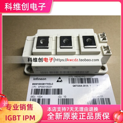 BSM150GB170DLC BSM200GB170DN2 BSM300GB170