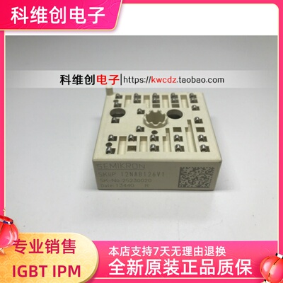 正品 SKIIP11NAB066V1 SKIIP12NAB126V1