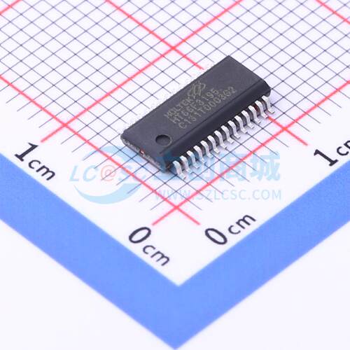 HT66F3195 SSOP-28-150mil 全新原装现货