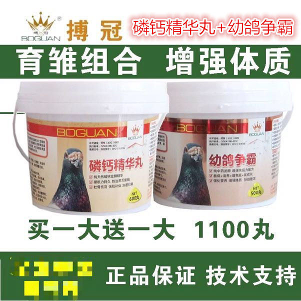 鸽子药搏冠幼鸽争霸博冠营养
