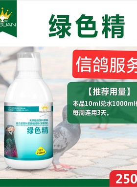 搏冠新品绿色精250毫升辅助清火去火鸽子药赛鸽信鸽清热夏季降火