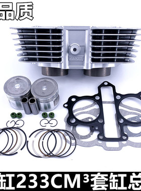 大地鹰王DD250E金太子CA250套缸 力帆CBT250双缸233cm3活塞环中修