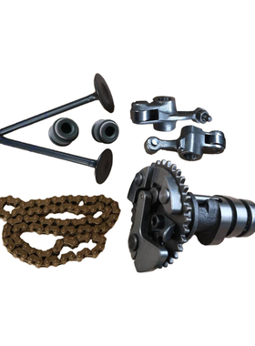 适用铃木极客飒GIXXER155摇臂GSX150FN减压凸轮轴小链条气门油封