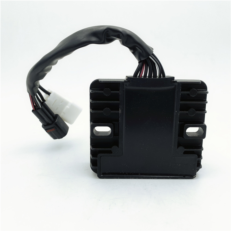 适用骊驰gsx250-a开关式充电器