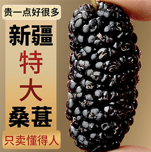 桑葚干黑桑椹新疆特产官方旗舰店泡酒专用新鲜桑椹子果干泡茶年货
