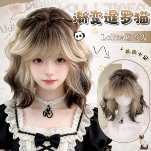 喵喵岛Lolita假发暹罗猫黑金渐变色羊毛卷短卷发日常氛围感全头套