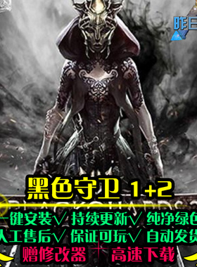 黑色守卫1/2欧美RPG角色扮演冒险硬核地下城PC电脑单机游戏合集