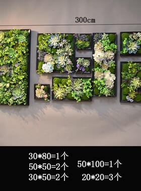 仿真多肉绿植相框植物壁墙面