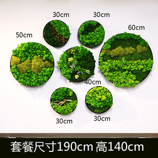 永生苔藓干花绿植壁挂挂件壁饰餐厅客厅景观植物墙墙面装饰原木
