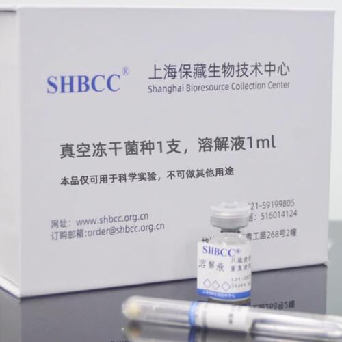 X33毕赤酵母SHBCC D25035非模式菌株YPD琼脂培养基28℃培养活化