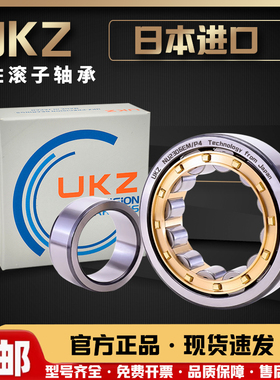 进口UKZ圆柱滚子轴承 NU NJ202 203 204 205 206 207 208 209 EM