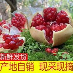 陕西临潼石榴当季现摘新鲜水果红心水晶酸甜石榴非突尼斯软籽石榴