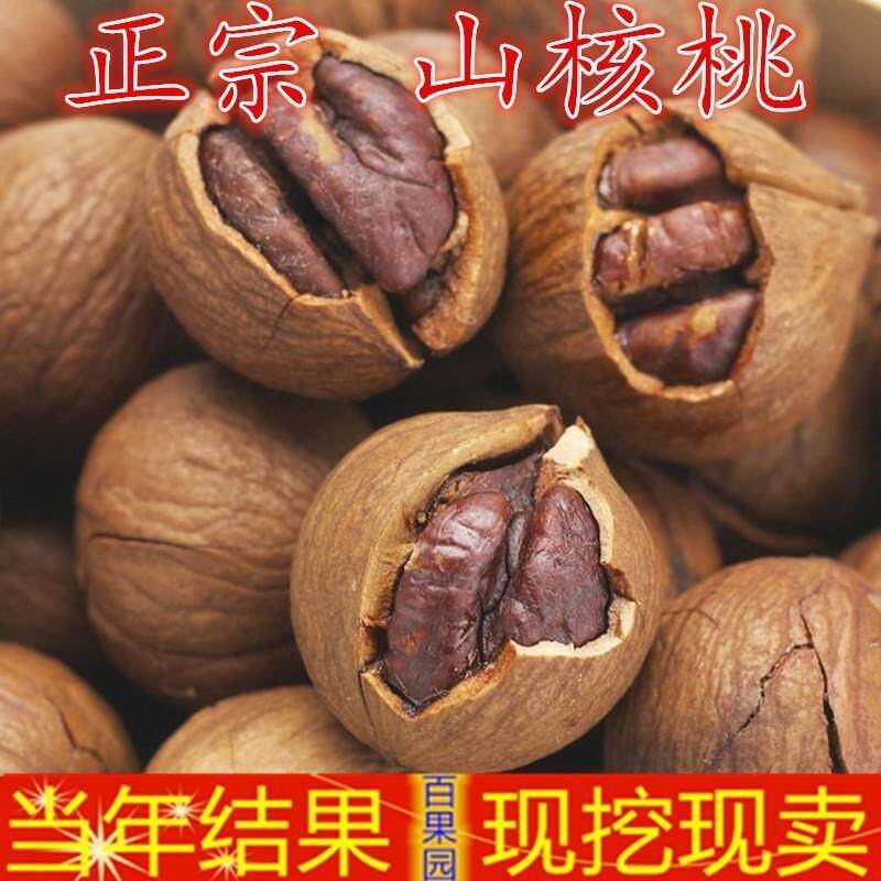 临安核桃苗 临安小山核桃苗 核桃大小苗 果树苗 挂果山核桃苗当年