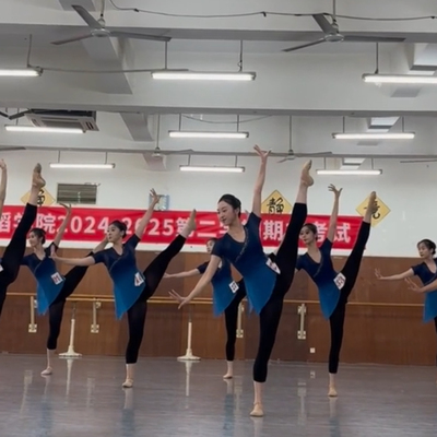 古典舞基训短袖纱衣女收腰飘逸中国舞舞蹈练功服班服艺考身韵上衣