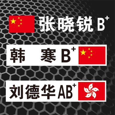 定做贴纸适用于定制赛车姓名血型名字国旗文字定制买菜车贴 3051