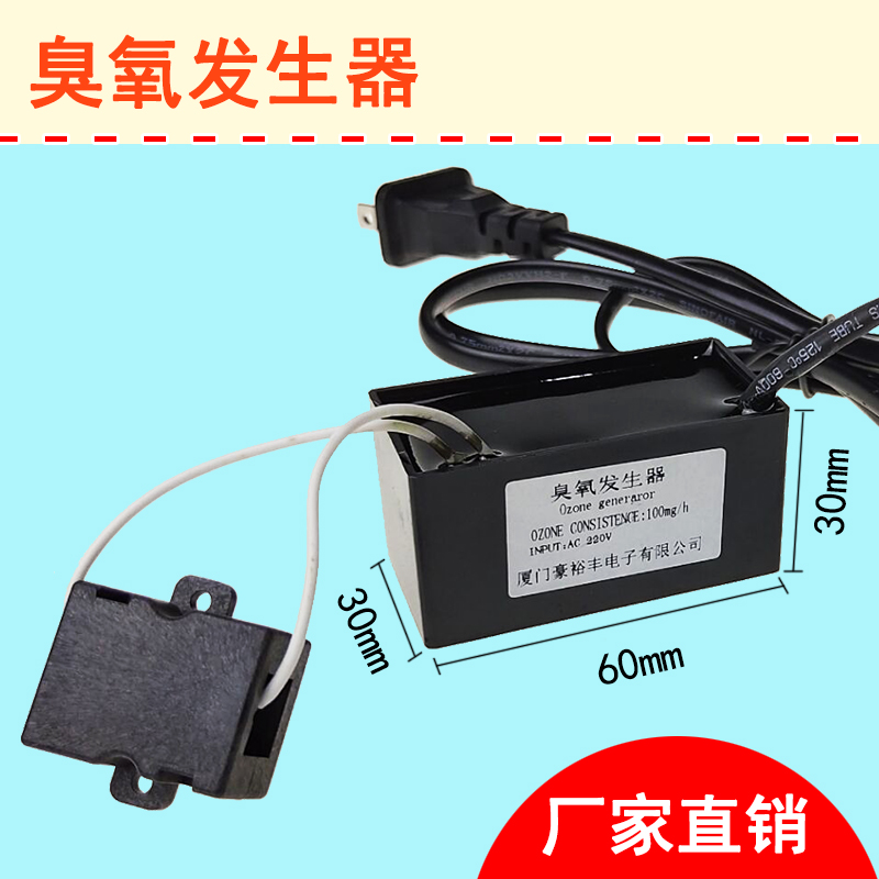 室内家用220V小型100mg臭氧空气消毒臭氧发生器除味器杀菌衣物内