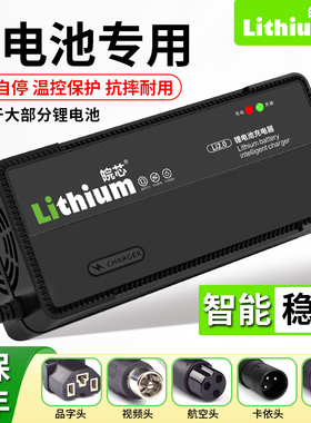 皖芯锂电48V60v72V锂电大功率快充5A6A78A10A外买锂电充电器定制