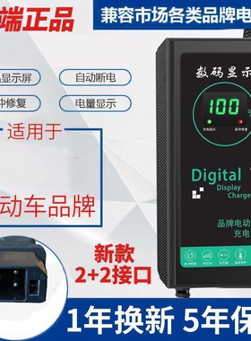 新国标2+2插孔适用各大品牌电动车充电器48V60V72V20AH自动断电原