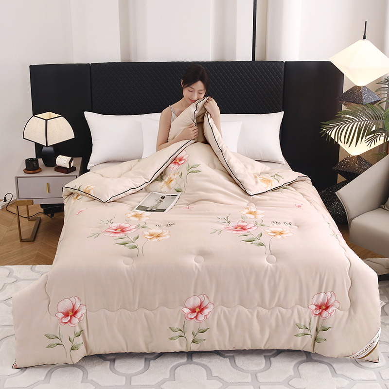 FUANANFANGZHI家用春秋被单双人空调被四季被 G