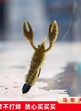 虾型软饵 2.5寸 美国 ZMAN CRAW  虾型虫 内德浮水耐咬精细路亚饵