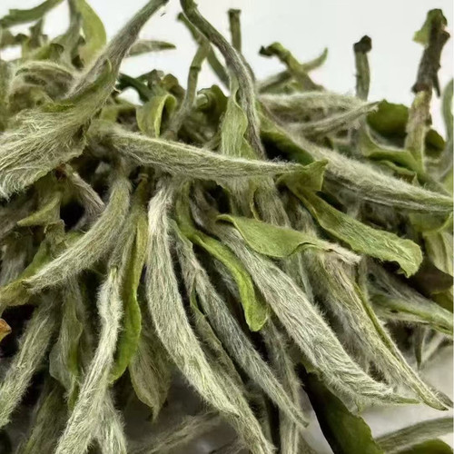 福鼎高山白牡丹2025年头采春茶荒野老树花香牡丹王散装/礼盒装