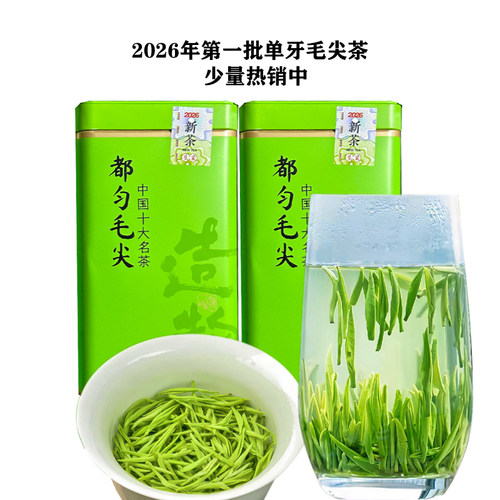 2026年新茶都匀毛尖独牙单芽特级高山云雾绿茶浓香型袋装250g