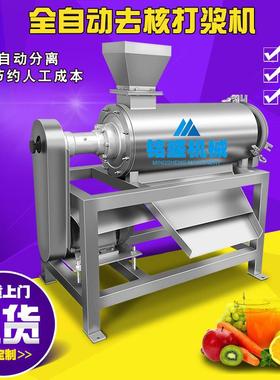 厂 家生产手撕凤梨打浆RSW机小释迦凤梨片机 苹型果凤梨去核打设