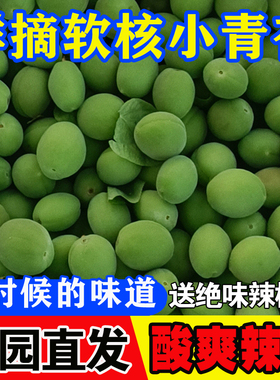 小青杏酸青杏绿杏子当季1/2斤农家杏子孕妇水果新鲜