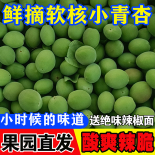 小青杏酸青杏绿杏子当季 2斤农家杏子孕妇水果新鲜