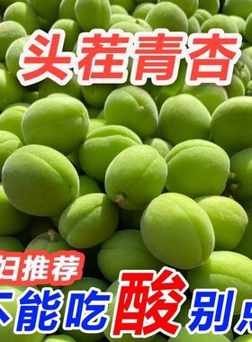 26年青杏酸青杏绿杏子当季1/2斤现摘农家杏子孕妇水果脆酸杏包邮