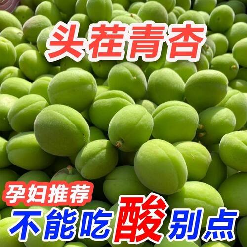 26年青杏酸青杏绿杏子当季1/2斤现摘农家杏子孕妇水果脆酸杏包邮
