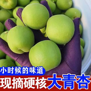 【新鲜采摘大青杏】青杏酸杏生吃酸脆青杏软核硬核杏子酸杏绿杏子